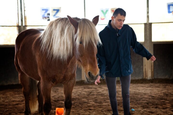 avtist med terapijo s konji