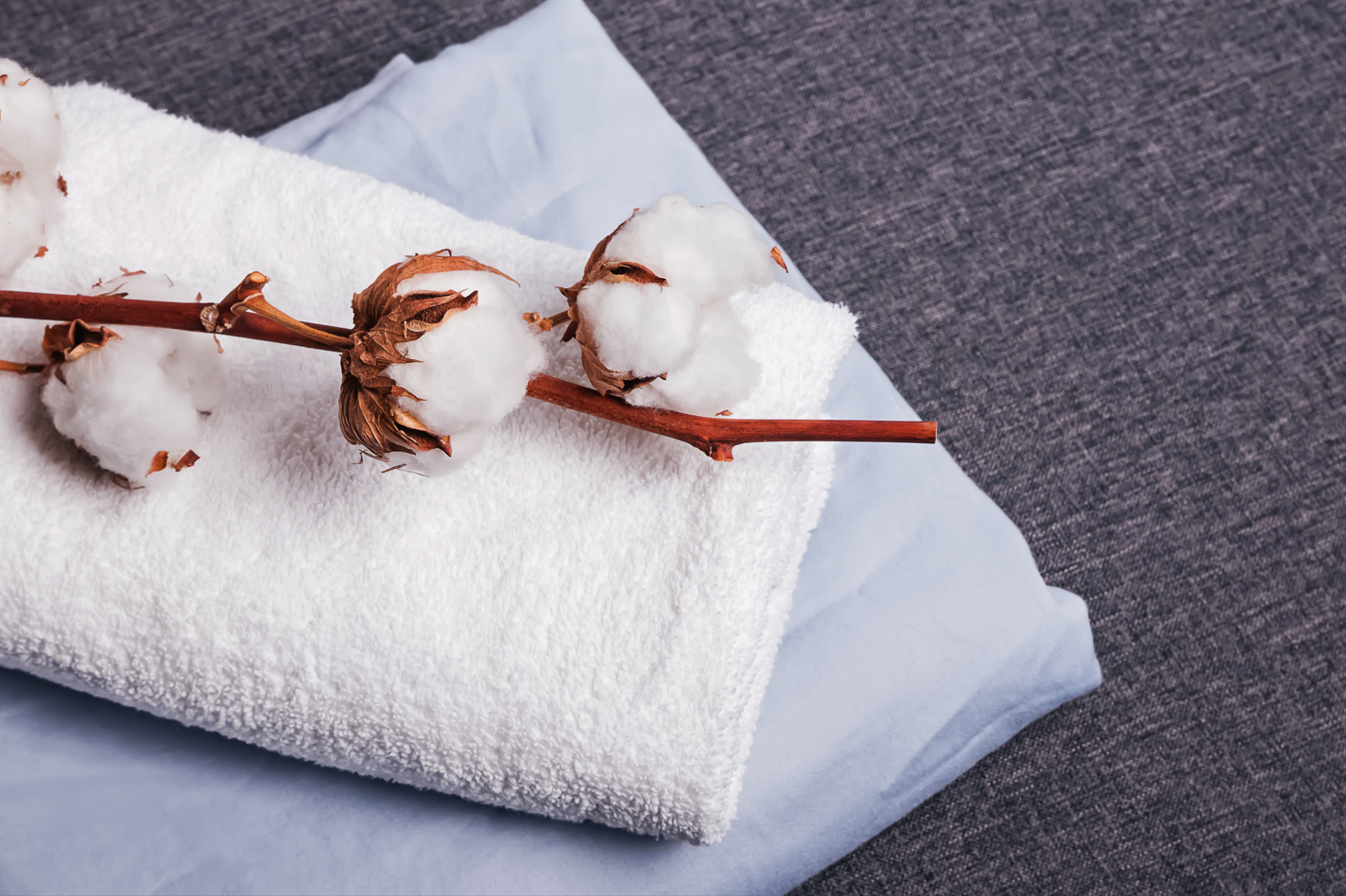 Bount svetuje: 10 nasvetov kako vzdrževati brisače, da bodo dolgo ostale mehke