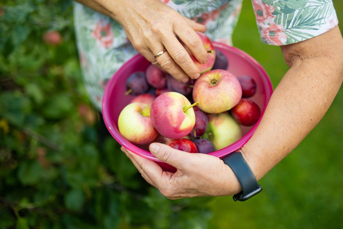 Lahko preveč sadja povzroči težave? Nutricionistka pojasnjuje … - Mama ...