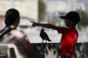 Jesenska utrujenost je pogostejša med ženskami. Foto: Profimedia