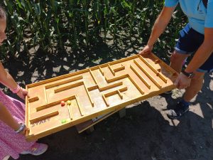 ena od točk v koruznem labirintu