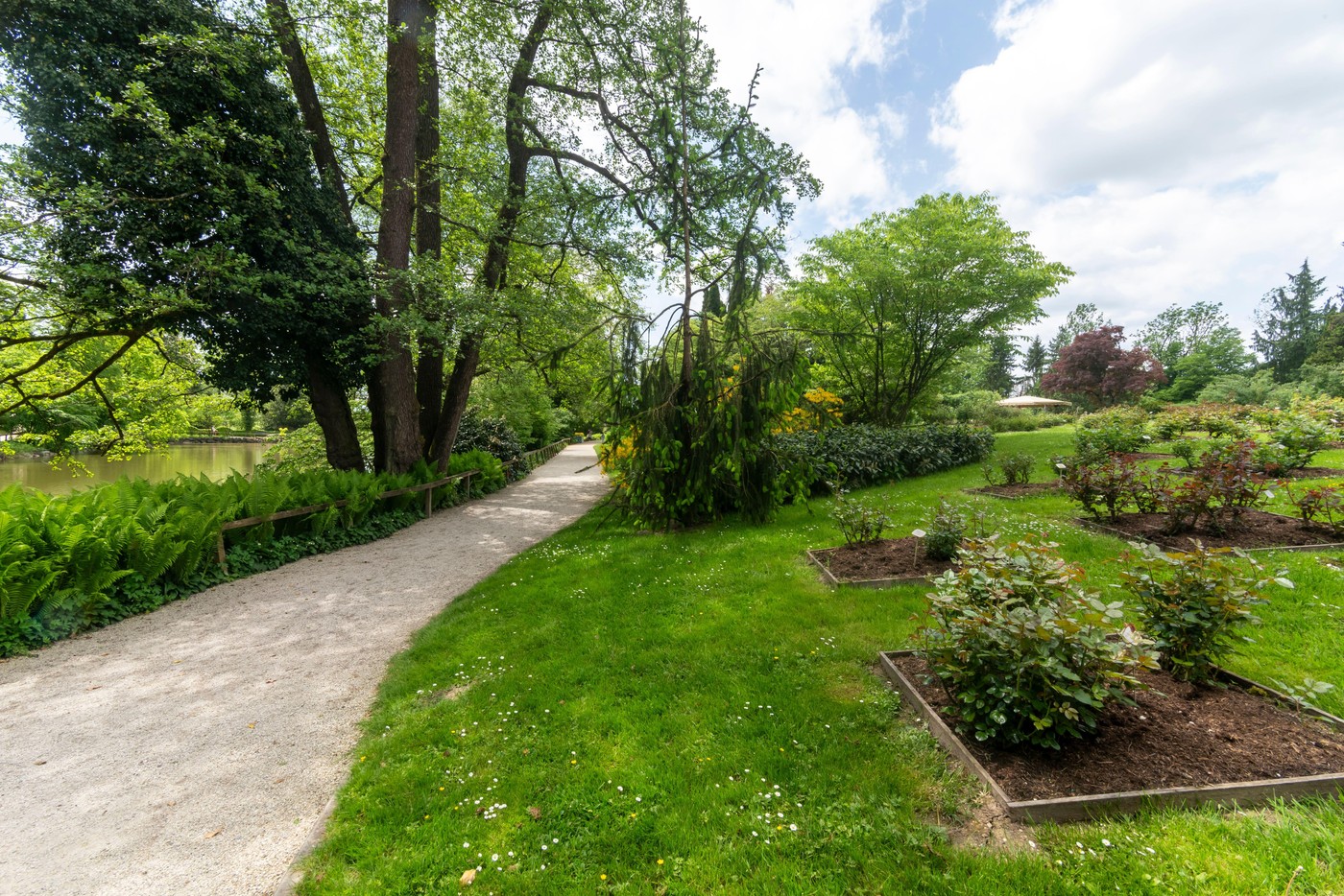 Arboretum Volčji potok. Foto: Profimedia