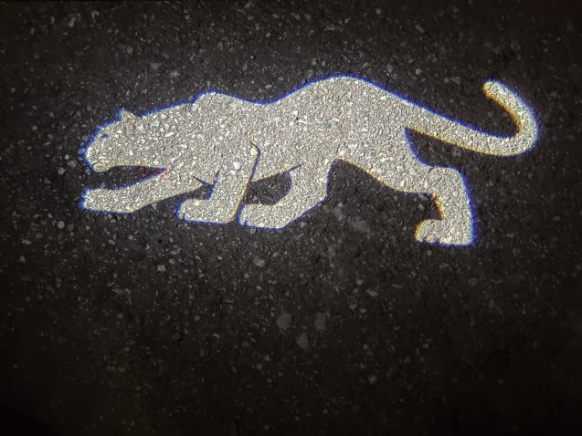 puma znak, projiciran na tla