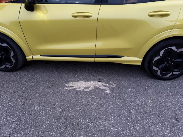 puma znak, projiciran na tla, poleg rumene pume gen-e
