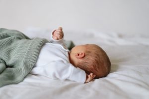 Imate doma levčka, ovna ali strelca? Foto: Profimedia