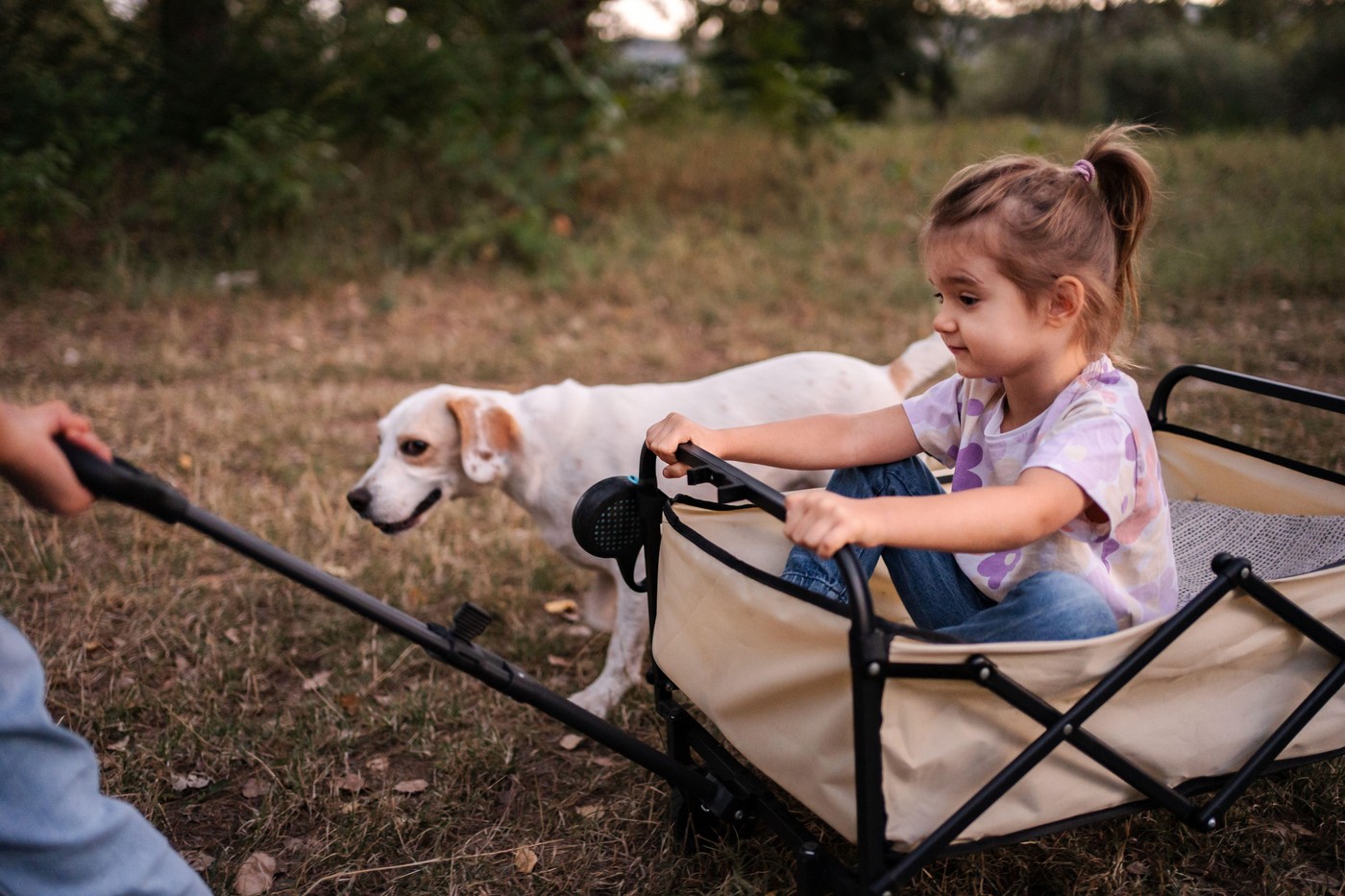 Zakaj veterinarji svetujejo redno zaščito psov pred paraziti. Foto: Profimedia