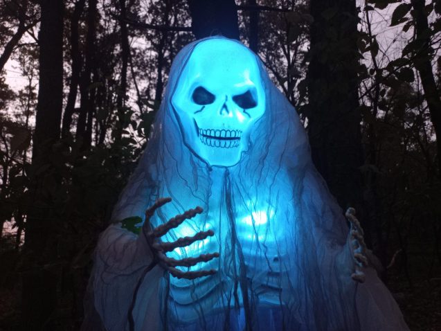 Matilda v magičnem gozdu.