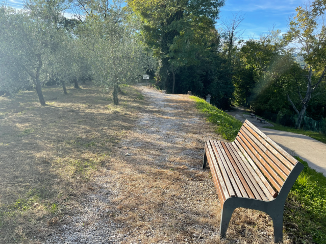 Dovolj bo tudi sprehod s posedanjem na sončku. Foto: A. Š.