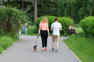 najstnika se sprehajata v parku skupaj s psom