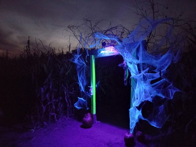 Vhod v labirint ponoči. Foto: Profimedia