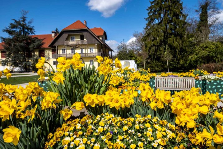 Arboretum Volčji Potok