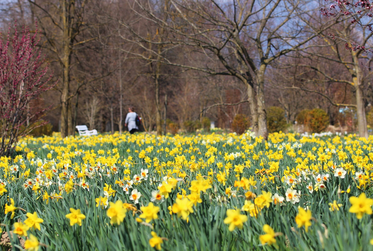 Arboretum Volčji Potok