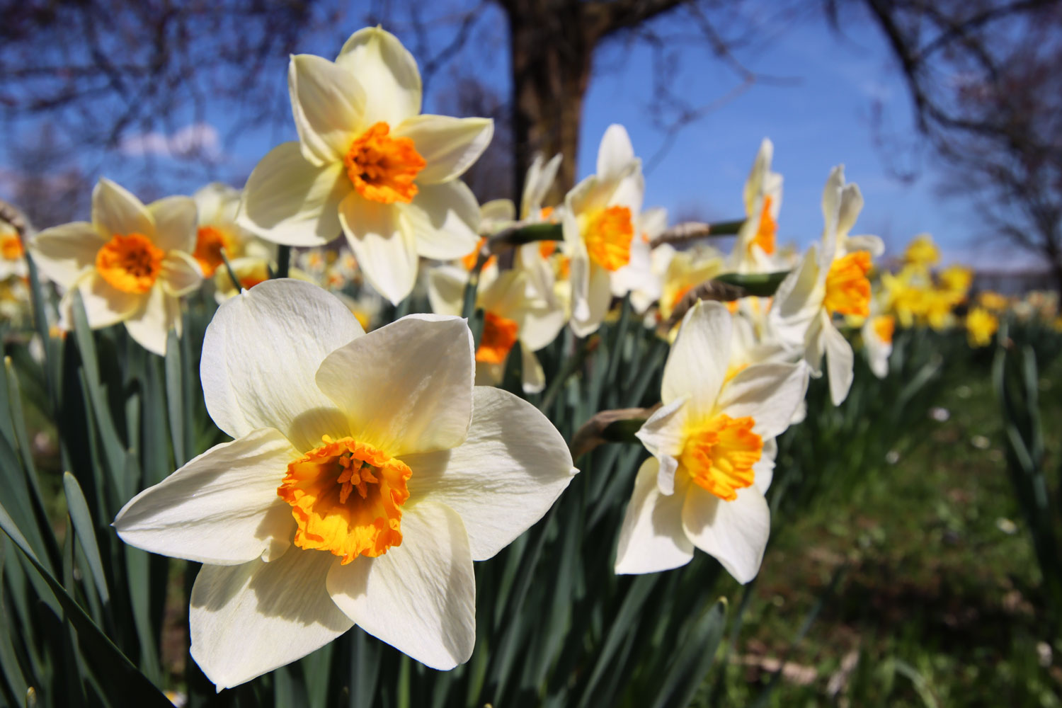 Arboretum Volčji Potok