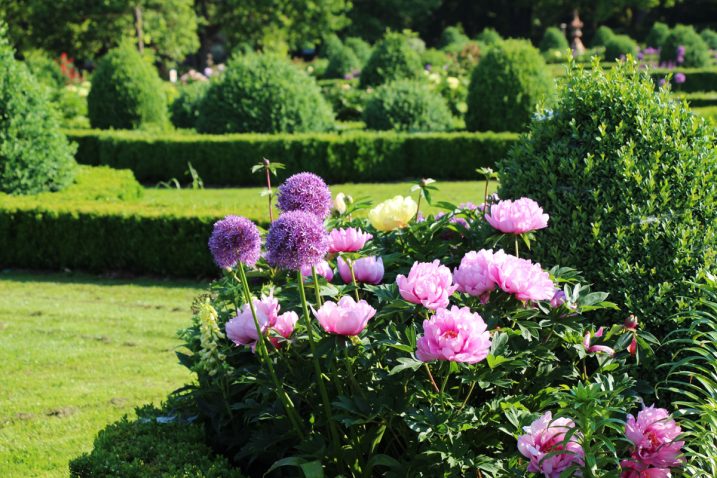 Arboretum Volčji Potok